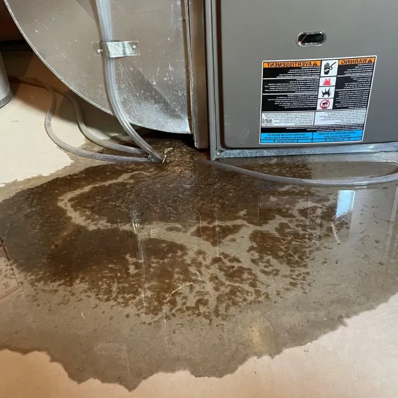 Pipe Burst and Leak Restoration in Garrett County, MD