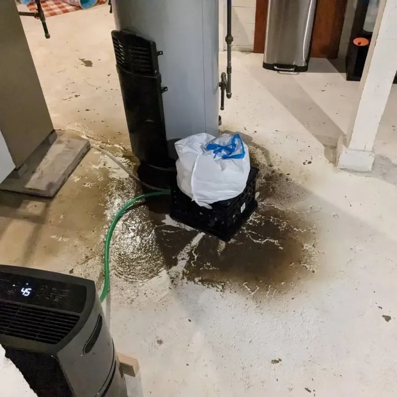 Sewage Backup Cleanup Service in Garrett County, MD